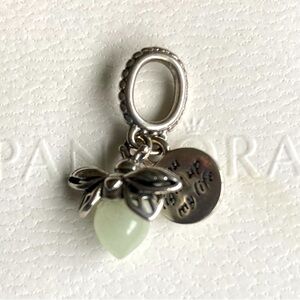 You light up my Life Fire fly dangle charm Pandora